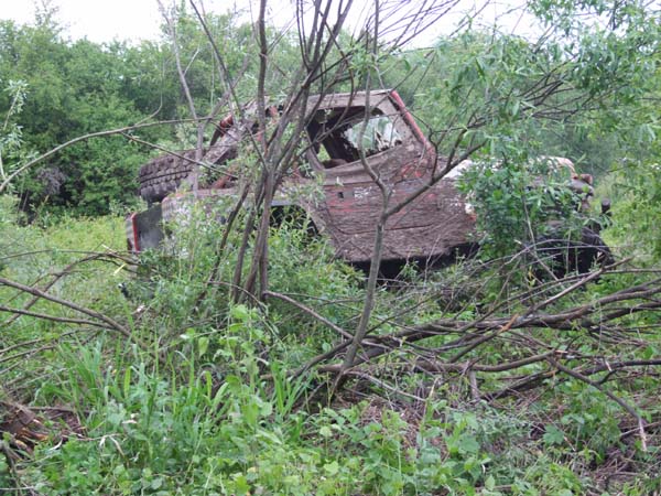 DSCF7796