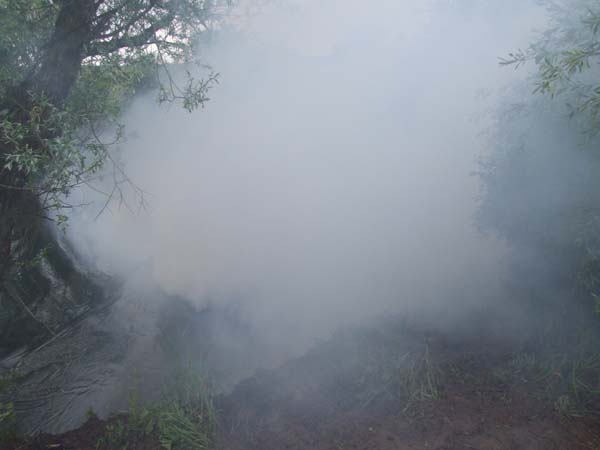 DSCF7829