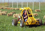 povečaj