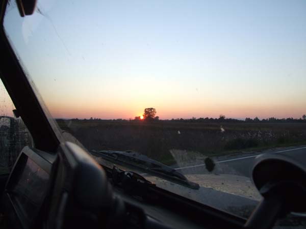 DSCF2554