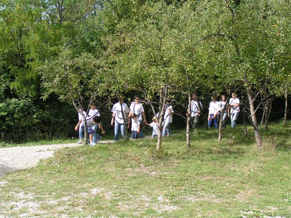 PICT0052