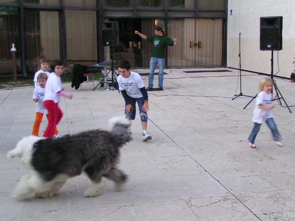 PICT0244