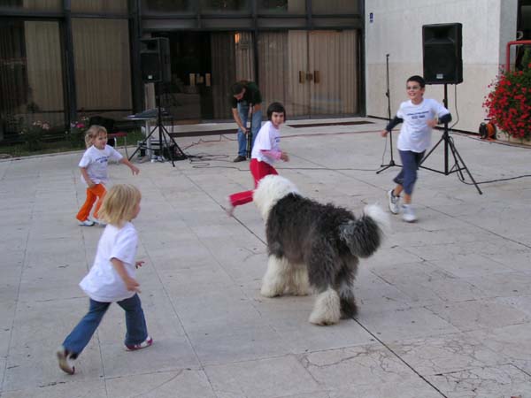 PICT0245