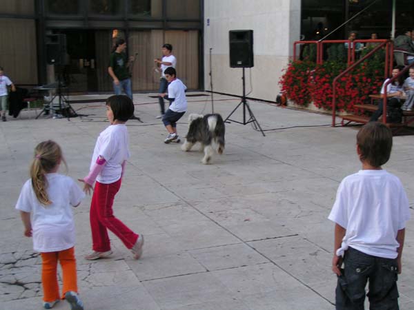 PICT0248