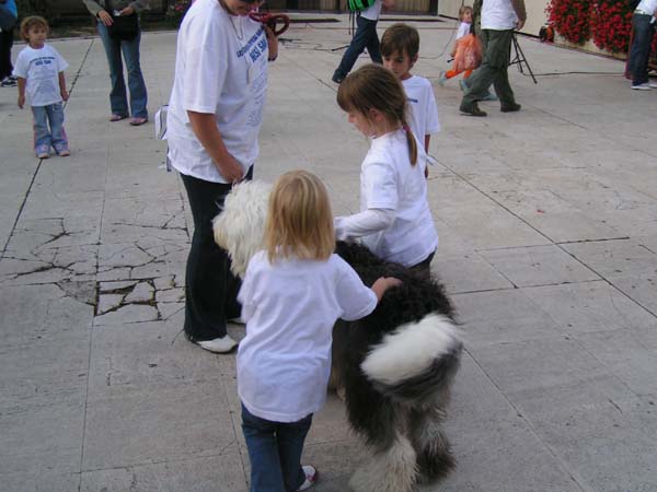 PICT0250