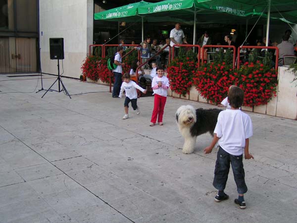 PICT0253