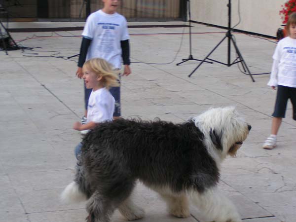 PICT0256