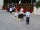 PICT0254