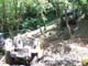 DSCF4241