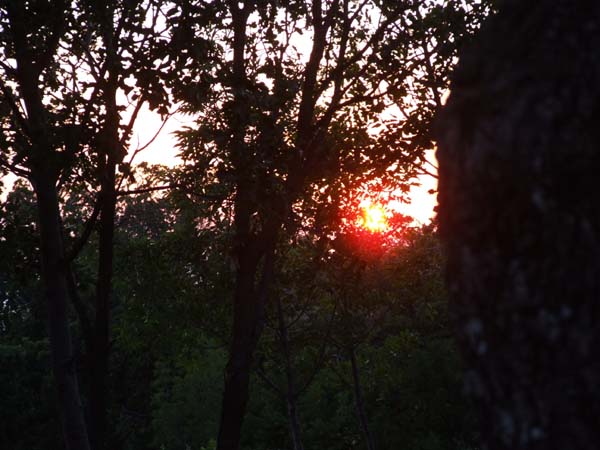 DSCF1555