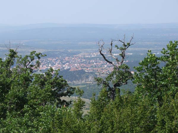 DSCF1742