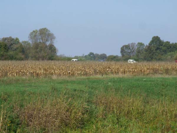DSCF4778