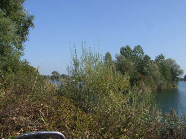 DSCF4815