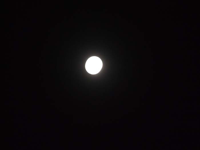 DSCF9924